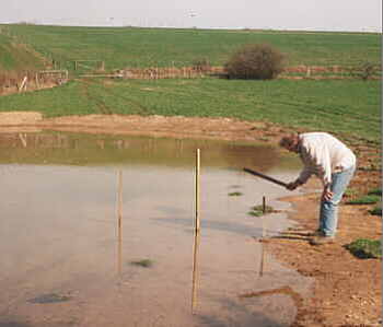 Auwiese II - Wasserstandbestimmung