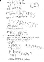 Leas Blatt Nr. 1