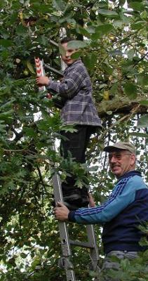 Franz und Lukas oben in einem alten Baum