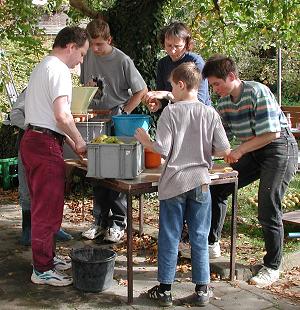 Kleinschneiden der Äpfel