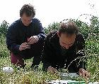 Bitte anklicken für größere Darstellung