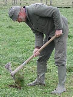 Hier fliegt das Gras!