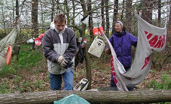 Das Schmücken des Baumes