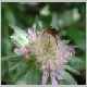 Dscn9532.jpg