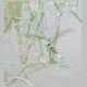 Dscn9553.jpg