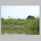 Dscn9560.jpg