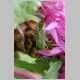 Dscn9573.jpg