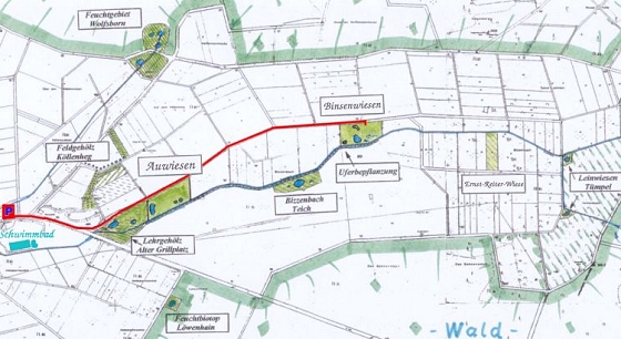 Der Weg zu den Binsenwiesen