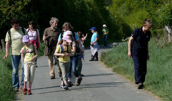 Eine Schneckenspur