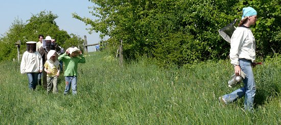 Veronika erklärt die Bienen